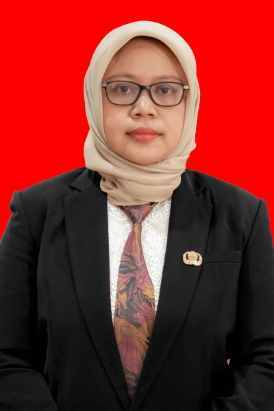 ERMAWATI S.Kom